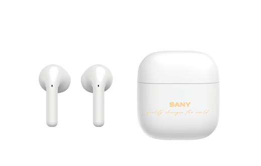 三一定制真无线蓝牙耳机DZ-3 商品图0