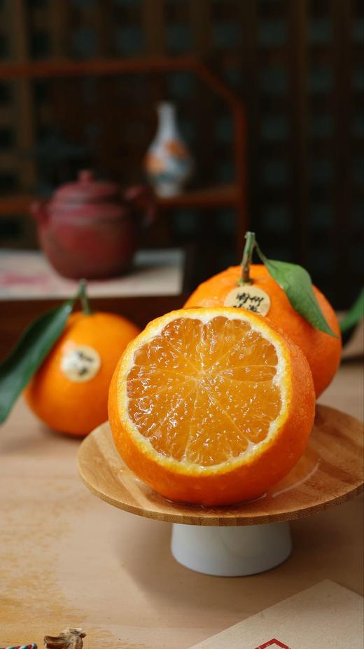 象山红美人 商品图1