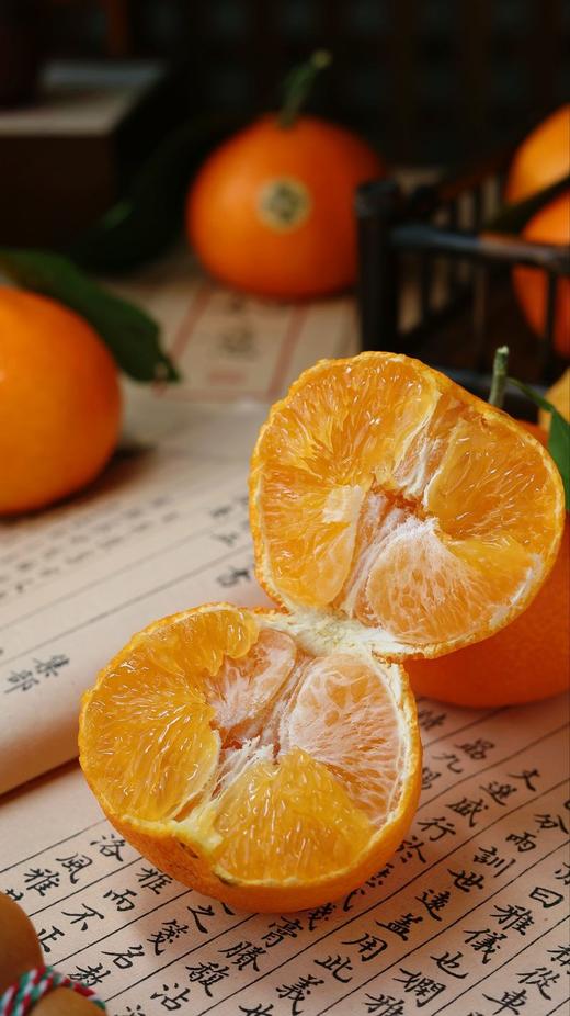 象山红美人 商品图0