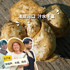生态沙葛 | 绿家自产*ecological jicama | Self-production