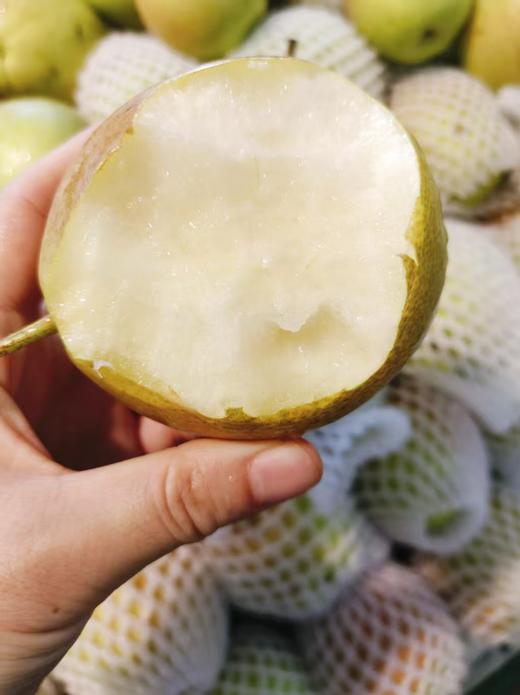 大众玉露梨三斤 商品图3