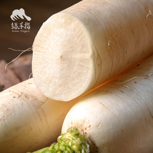 生态白萝卜 | 绿家自产* Ecological  white radish | Self-production 商品图2