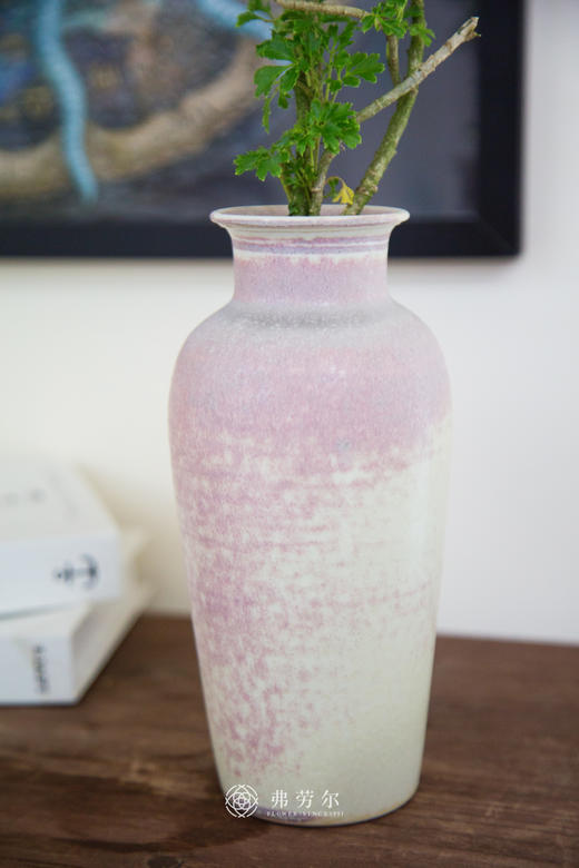 造型羽叶福禄桐 商品图2