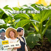 生态菜心 | 绿家自产 * Eco-choy sum | Self-production 商品缩略图0