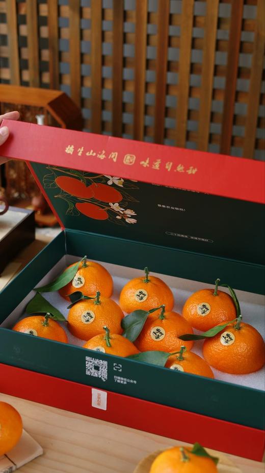 象山红美人 商品图6