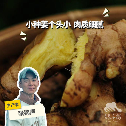生态小黄姜 （包邮,8.7折起）| 绿家自产* Organic ginger  | Self-production 商品图0