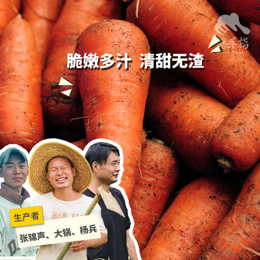 生态胡萝卜 | 绿家自产* ecological carrot | Self-production 商品图0