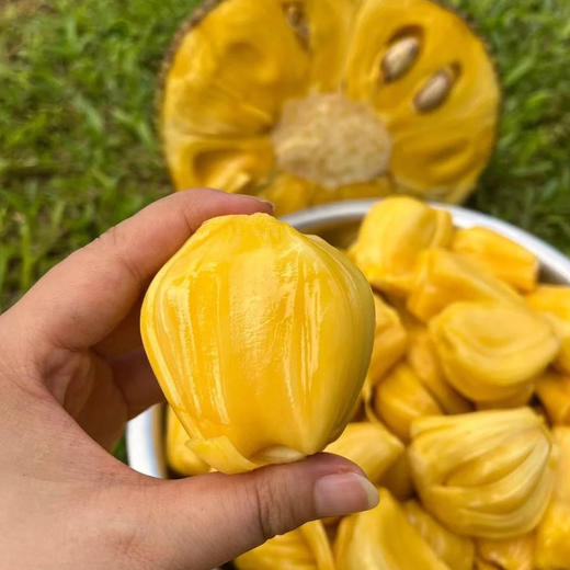 【越南黄肉菠萝蜜】果肉浅黄 鲜亮诱人 肉质细腻 香甜如蜜 果肉硕大 4种规格任选 商品图2