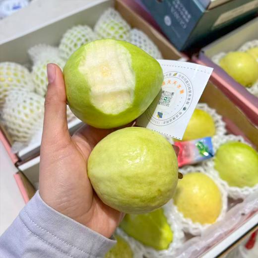 奶油芭乐 树熟采摘更软糯更香甜 商品图1