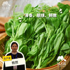 生态豌豆尖（多送半斤，中通快递）| 合作生产*Ecological pea tips| Partner Production 商品缩略图0