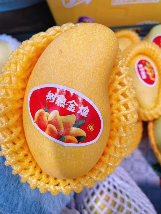 金煌芒2斤 商品图0