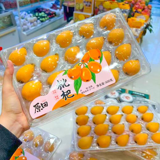 长虹枇杷  口感润田 这个季节枇杷界甜度高的 商品图6