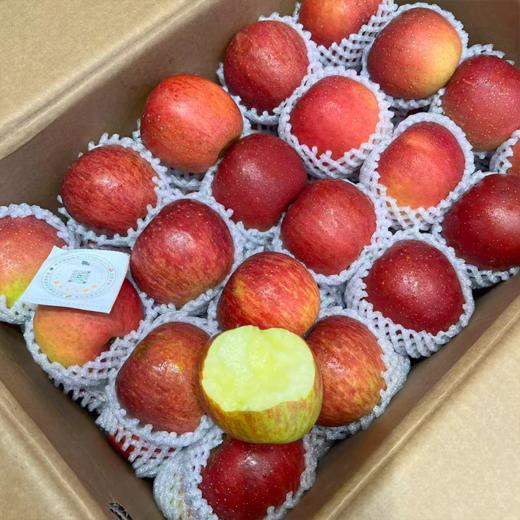 昭通糖心苹果 脆甜多汁 商品图1