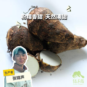 生态小芋头（红芽芋） | 绿家自产 * Ecological taro | In-House Production