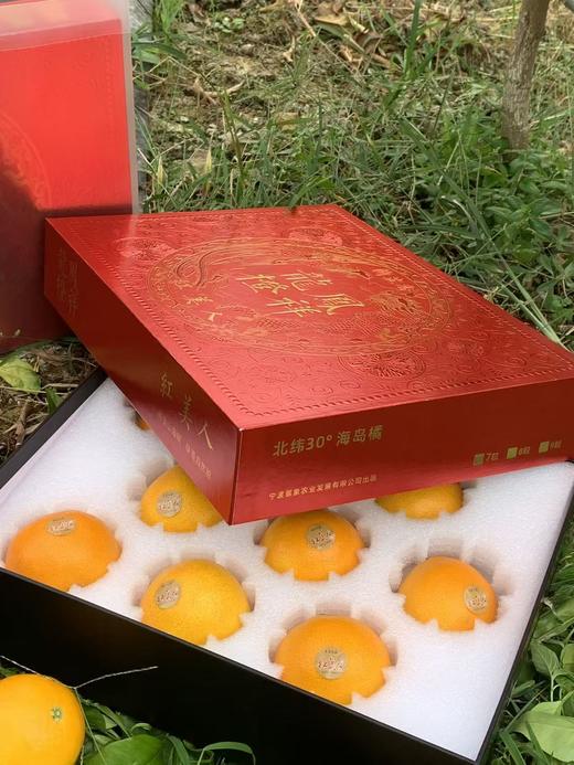 象山红美人 商品图9