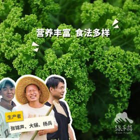 生态羽衣甘蓝 | 绿家自产*ecological curly kale | Self-production