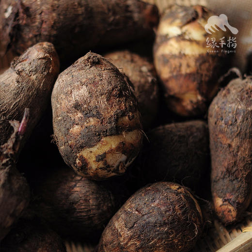 生态小芋头（红芽芋） | 绿家自产 * Ecological taro | In-House Production 商品图2