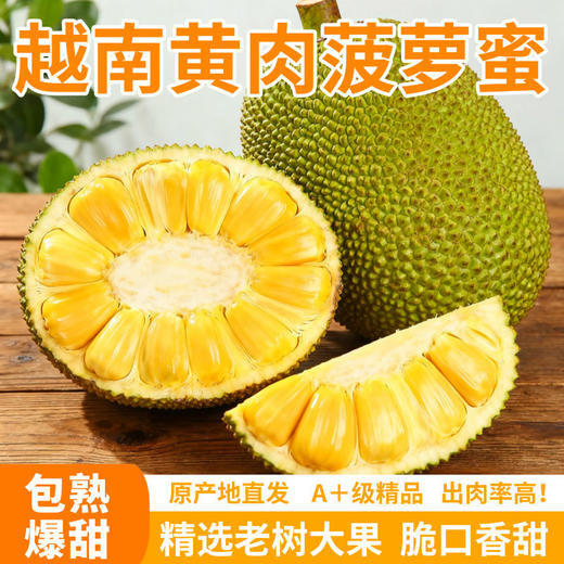 【越南黄肉菠萝蜜】果肉浅黄 鲜亮诱人 肉质细腻 香甜如蜜 果肉硕大 4种规格任选 商品图0