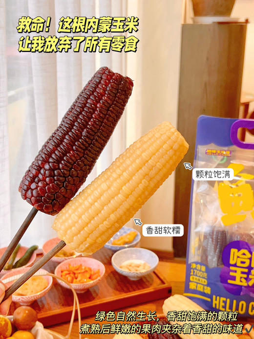 哈喽玉米 黑白双糯玉米 有机玉米更健康 商品图4