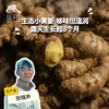 生态小黄姜（8.7折起） | 绿家自产* Ecological ginger  | Self-production 商品缩略图0