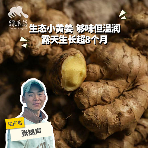 生态小黄姜（8.7折起） | 绿家自产* Ecological ginger  | Self-production 商品图0
