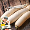 生态白萝卜 | 绿家自产* Ecological  white radish | Self-production 商品缩略图0