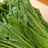 放心凤尾 300g/袋  叶菜 莴笋尖 商品缩略图3
