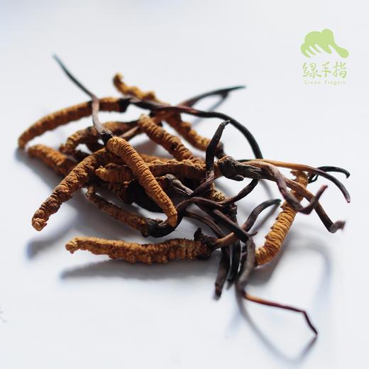 那曲冬虫夏草礼盒（2025年草） | 公平贸易* Naqu Cordyceps sinensis | Fair-trade 商品图0