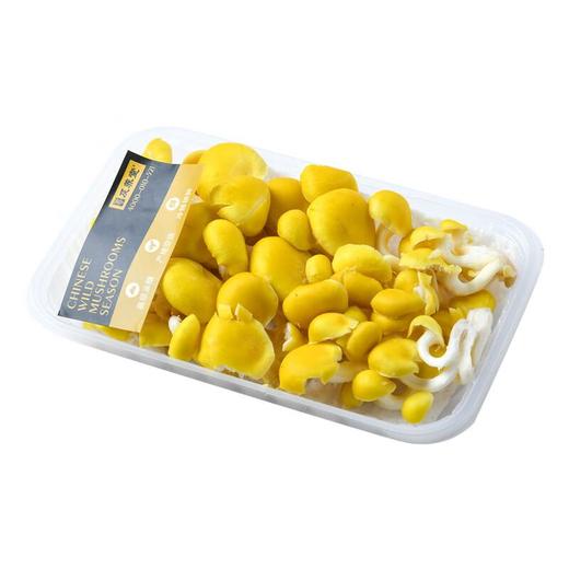 及养堂   榆黄菇 约120g/份 商品图0
