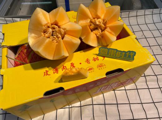 北海一号哈密瓜一箱 商品图2