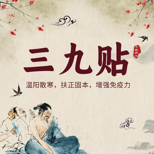 三九贴+三九灸套餐 商品图0