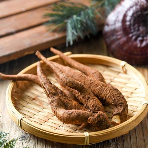 及养堂   当归 约100g/份 商品图0