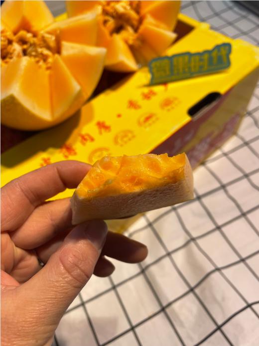 北海一号哈密瓜一箱 商品图3