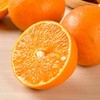 红美人橙6粒 800g/盒 商品缩略图3