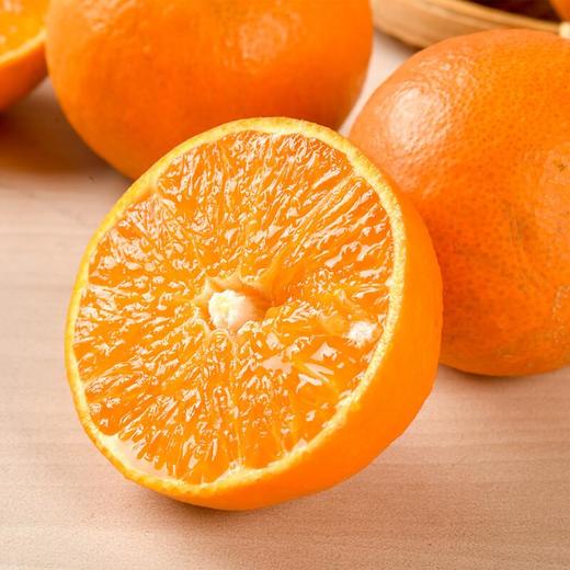 红美人橙6粒 800g/盒 商品图3