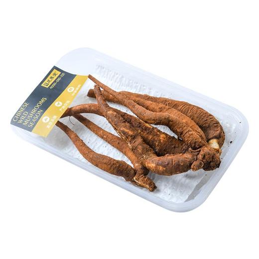 及养堂   当归 约100g/份 商品图2