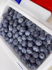 活动泡沫箱蓝莓一箱 商品缩略图1