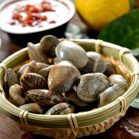 花甲中号 约500g/份