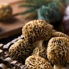 及养堂   羊肚菌  约70g/份 商品缩略图1