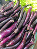 紫茄子3斤 商品缩略图0