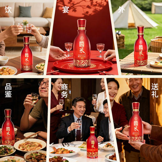 【新品上市】丹泉酱米酒  兼香型白酒 酱香米酒自饮宴席酒 33度 500mL 1瓶 商品图5