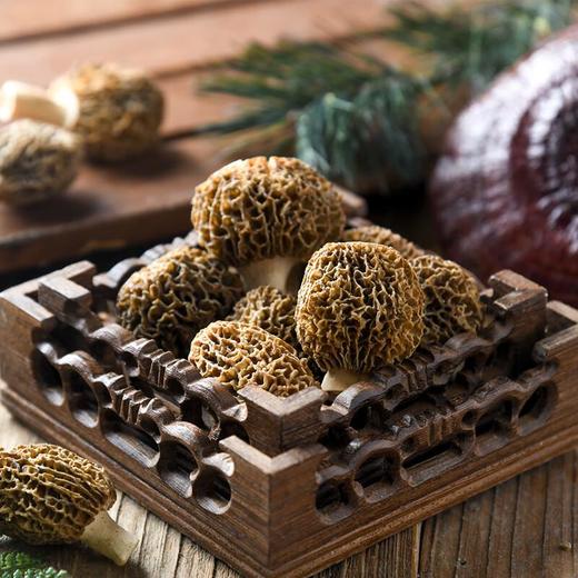 及养堂   羊肚菌  约70g/份 商品图0