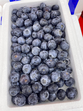 活动泡沫箱蓝莓一箱