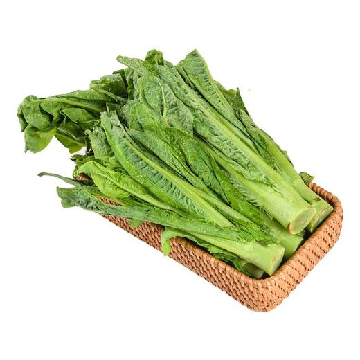 放心凤尾 300g/袋  叶菜 莴笋尖 商品图1