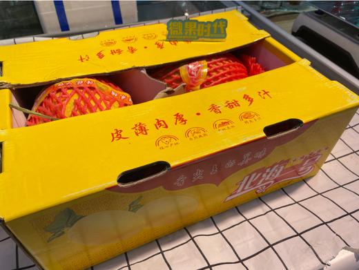 北海一号哈密瓜一箱 商品图1