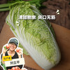 生态大娃娃菜 | 绿家自产* Ecological baby cabbage | Self-production 商品缩略图0