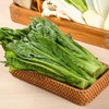 放心凤尾 300g/袋  叶菜 莴笋尖 商品缩略图0