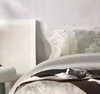 【直送到家】恐龙 100%全棉生态磨毛四件套 若静-灰/ 艾丽-咖 200*230cm 商品缩略图0