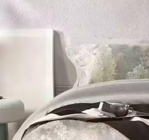 【直送到家】恐龙 100%全棉生态磨毛四件套 若静-灰/ 艾丽-咖 200*230cm 商品图0