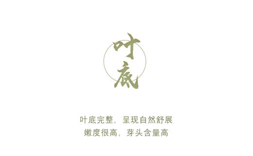 生普| 【镇店之宝】2024年老班章核心区100左右龙珠8g*20颗 商品图9